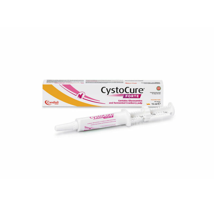 CystoCure Forte Paste, 15 ml