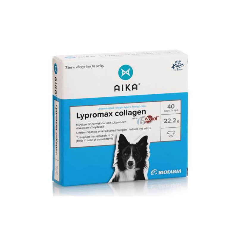 Lypromax Collagen, 40 capsules