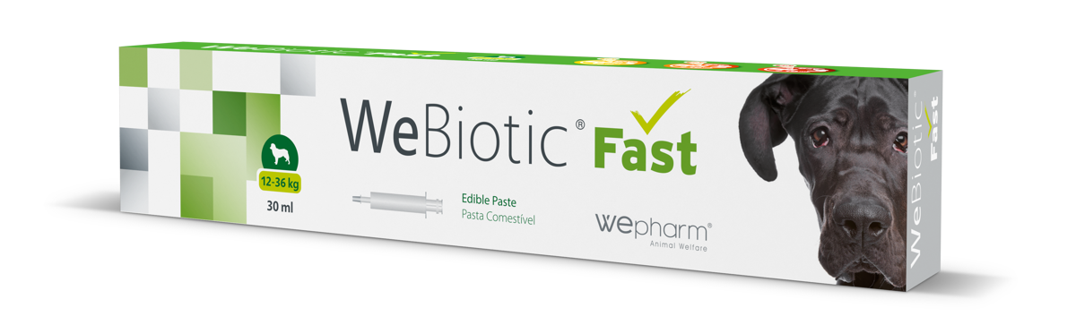 WeBiotic Fast Paste - Diarrhea Treatment Supplement for Cats and Dogs, 30 ml